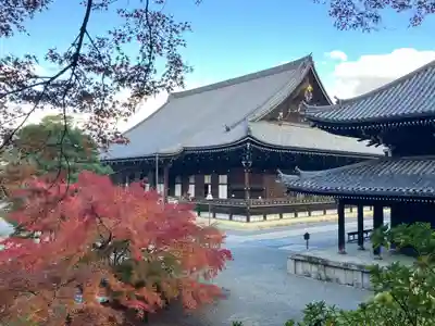 知恩院(京都府)