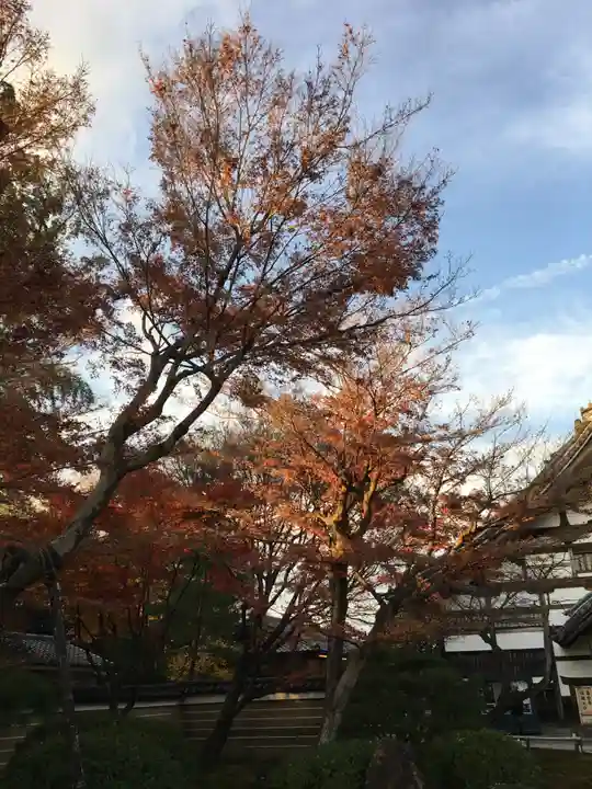 高台寺(高台寿聖禅寺・高臺寺)(京都府)