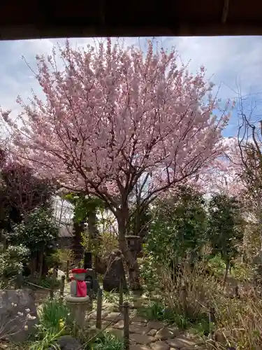 常泉寺(神奈川県)