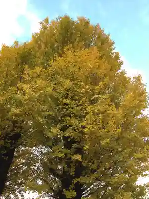 見性寺(三重県)