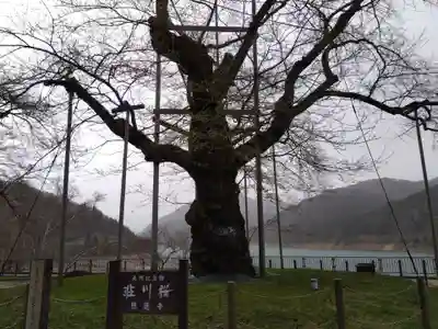 御母衣電源神社(岐阜県)