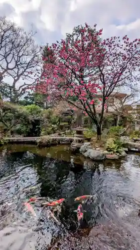 感通寺の庭園