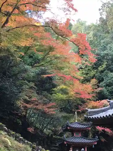 愛宕念仏寺の景色