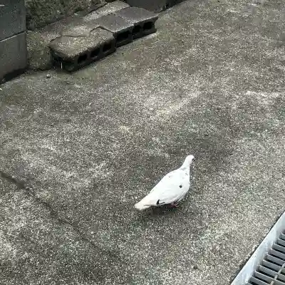 金砂山観音堂(神奈川県)