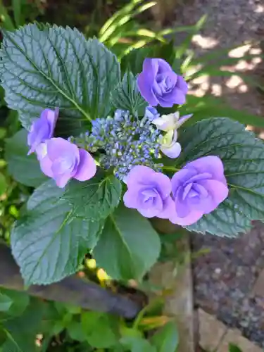 円覚寺(神奈川県)