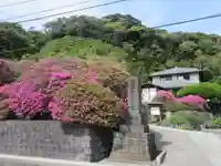 安養院 (田代寺)(神奈川県)