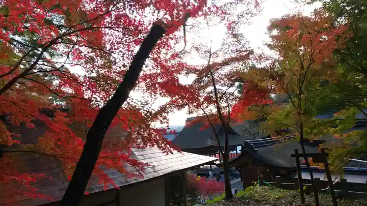 出雲大神宮の自然