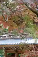 功山寺(山口県)
