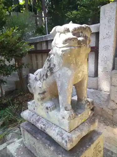 熊野神社の狛犬