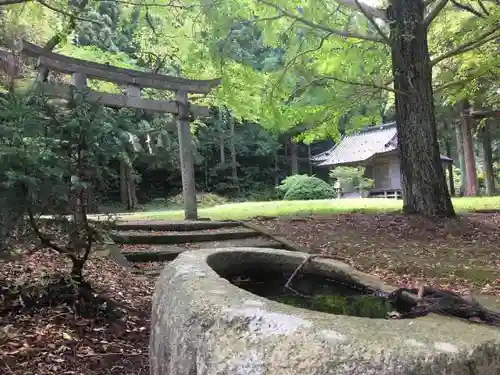 天鷺神社の自然