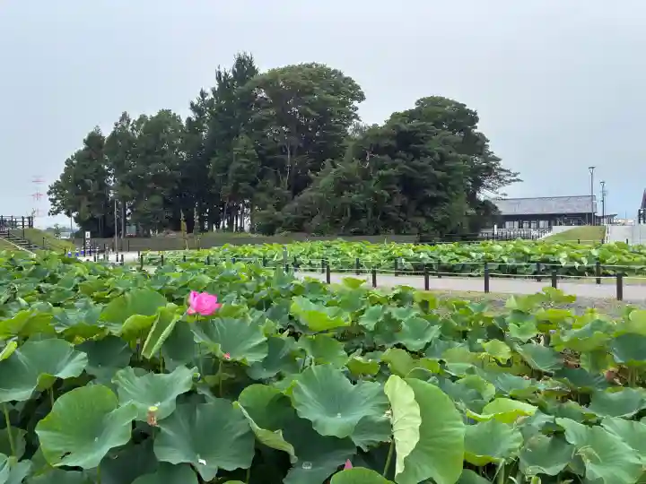 富岡神社(愛知県)