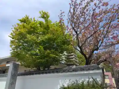 観音寺(東京都)