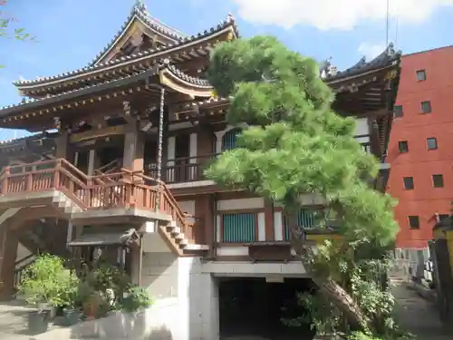 専光寺(東京都)