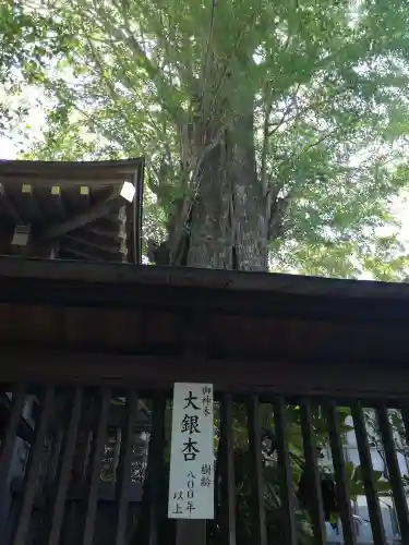 麻賀多神社のその他建物