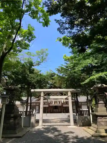 新琴似神社の鳥居