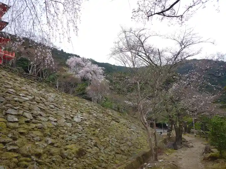 青岸渡寺(和歌山県)