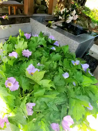 高司神社〜むすびの神の鎮まる社〜(福島県)