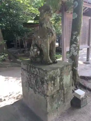 八重垣神社の狛犬