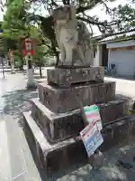 藤崎八旛宮の狛犬