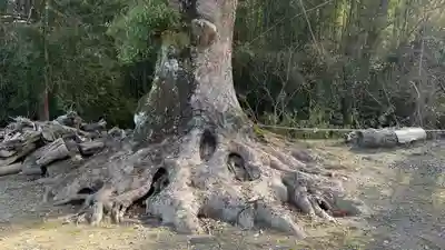 八大龍王社(徳島県)