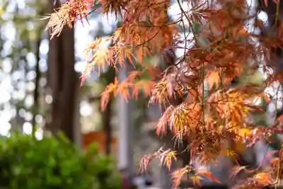 諏訪大社下社秋宮(長野県)