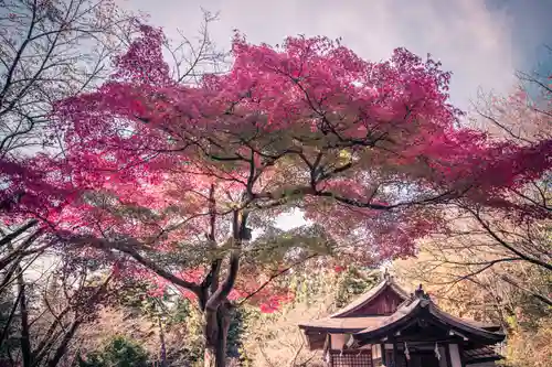 蚊里田八幡宮(長野県)