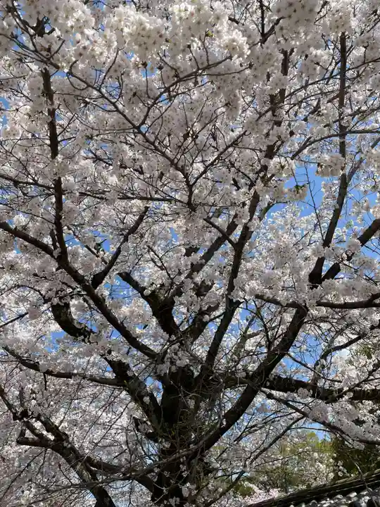 醍醐寺(京都府)