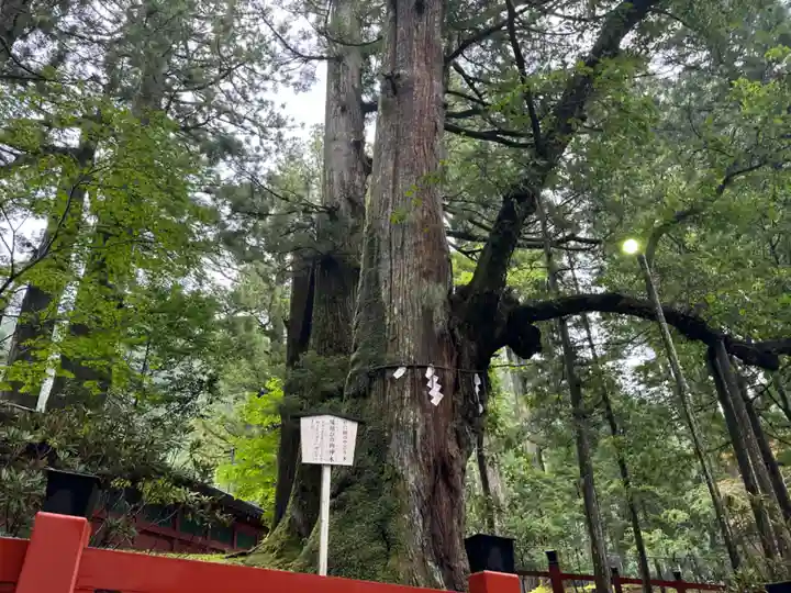 日光二荒山神社(栃木県)