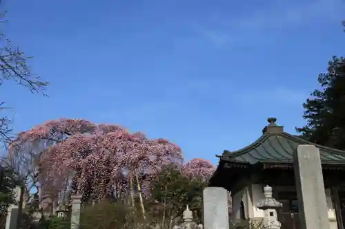 日輪寺の庭園