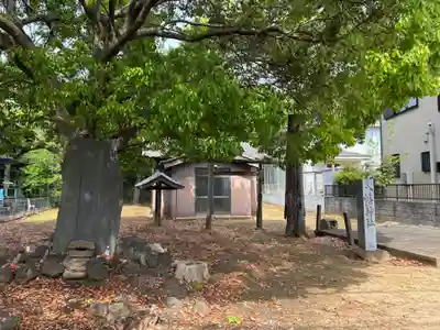 八幡神社(千葉県)