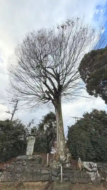 天都賀佐彦神社(徳島県)