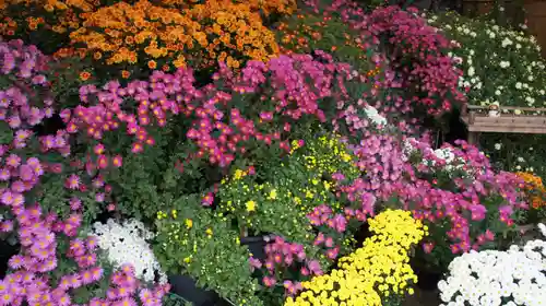 笠間稲荷神社(茨城県)