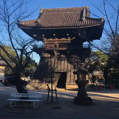 大樹寺（松安院大樹寺）のその他建物