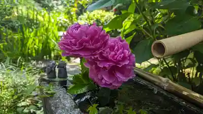 宝蔵寺(京都府)