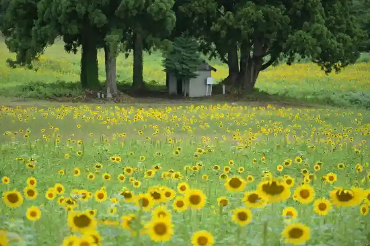 沢山神社(澤山神社)(新潟県)
