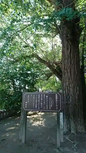 郡浦神社の庭園