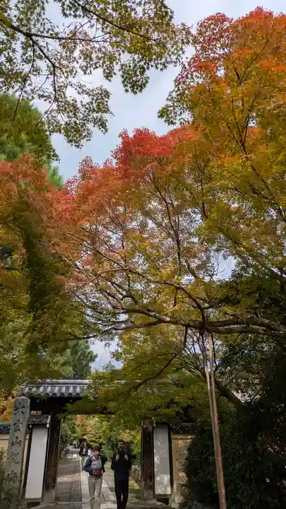 龍安寺(京都府)