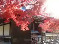東漸寺の本殿・本堂