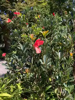 横浜　西方寺(神奈川県)