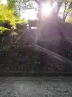 海住山寺の{uncategorized: "未分類", other: "その他", undefined: "問題あり", building: "その他建物", grave: "お墓", sacred_gate: "鳥居", guardian: "狛犬", statue: "像", buddha: "仏像", history: "歴史", nature: "自然", garden: "庭園", animal: "動物", pagoda: "塔", temizu: "手水舎", mountain_gate: "山門・神門", sanctuary: "本殿・本堂", subordinate: "末社・摂社", art: "芸術", scenery: "景色", jizo: "地蔵", ema: "絵馬", goshuin: "御朱印", omikuji: "おみくじ", items: "授与品その他", amulet: "お守り", goshuincho: "御朱印帳", eats: "食事", festival: "お祭り", votive_dance: "神楽", shichigosan: "七五三参", wedding: "結婚式", experience: "体験その他", initially: "初詣", around: "周辺", anti_infection: "感染症対策"}