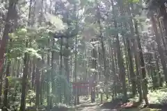 水分神社の自然