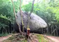 神在神社の自然