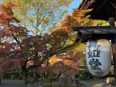 真正極楽寺（真如堂）(京都府)