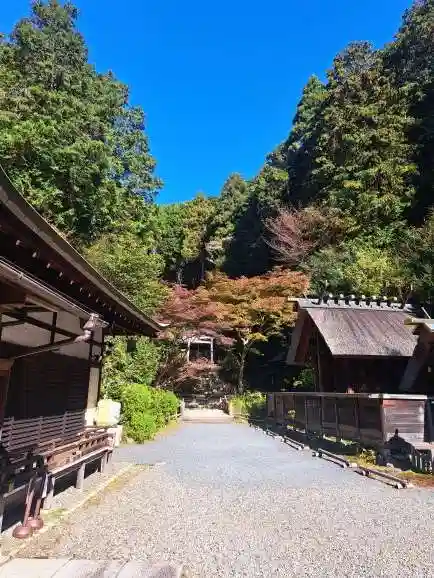 日向大神宮(京都府)