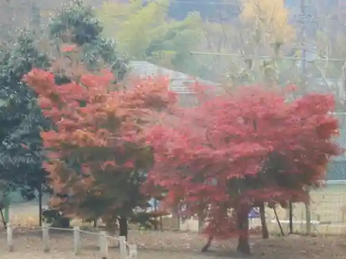 永福寺跡（永福寺址）の景色