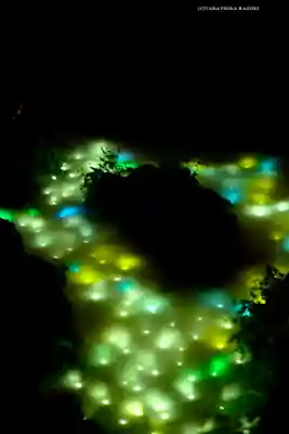 川越氷川神社(埼玉県)