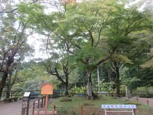 長谷寺(奈良県)