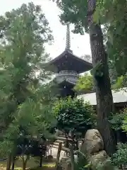 霊山寺の塔