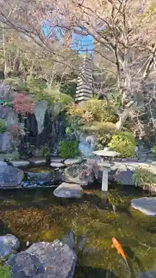 長谷寺の塔