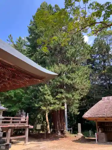 西明寺(栃木県)